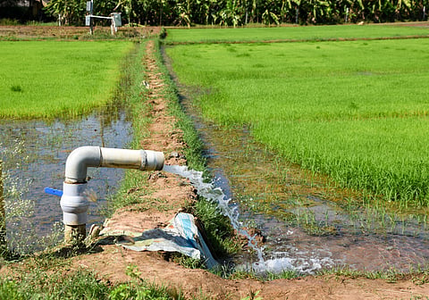 Farm land filling water with the help of power motors at Paraipatti near Tiruchy on Saturday