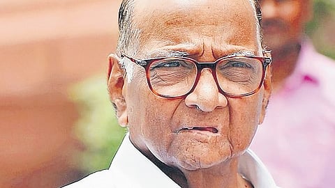 Mumbai Diary | Pawar advocates rotational LoP formula