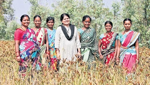 Women farmers of Doraguda panchayat under Koraput’s Boipariguda block