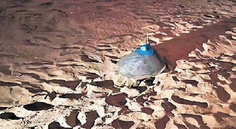 An Olive Ridley turtle with satellite transmitter fitted to its carapace