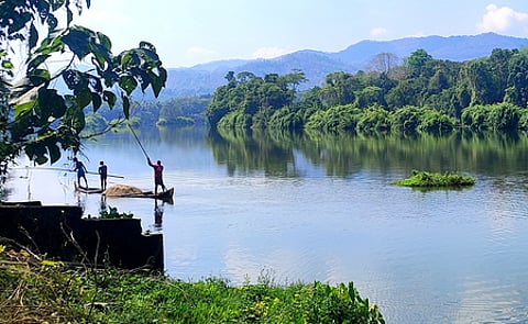 In its interim order, the Supreme Court restrained the Centre and State governments from cutting down forest areas without providing compensatory land.
