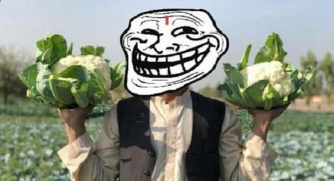 Following the 1989 Bhagalpur violence, more than a hundred dead bodies of Muslims were recovered from the cauliflower fields of Logain.