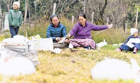 Crafted Fibers: Sikkim’s visionary brand fuses cultural heritage with modern elegance