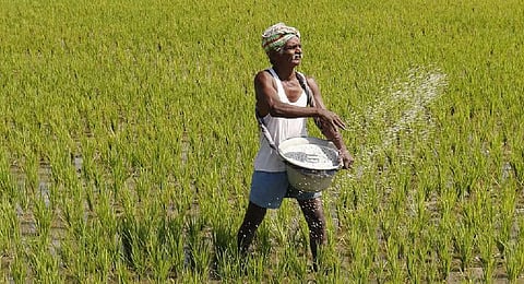 Image used for representation purposes only.