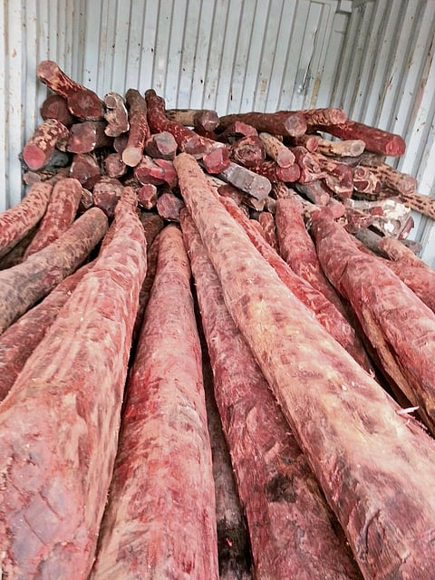 Red Sanders exports down, but fascination lingers