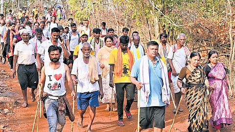 Thousands of devotees from Karnataka and Maharashtra trek Nallamala hills to reach Srisailam temple for Ugadi Mahotsavam.