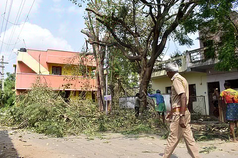 Around a 30-five-year-old peepal tree was prevented from cutting off on the alert by residents at Nanjundapuram in Coimbatore