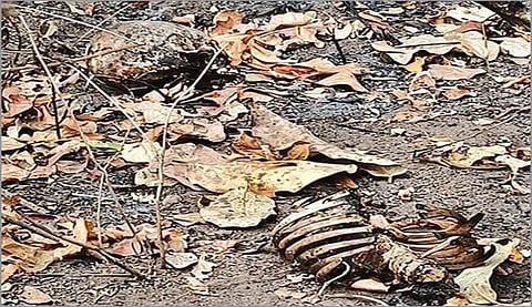 Image used for representational purposes only.