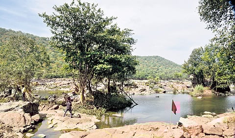 Water Resources Minister Duraimurugan said the project requires clearance from various authorities and from the states involved, and the TN government will not allow Karnataka to get the nod | PICTURE USED FOR REPRESENTATIONAL PURPOSE