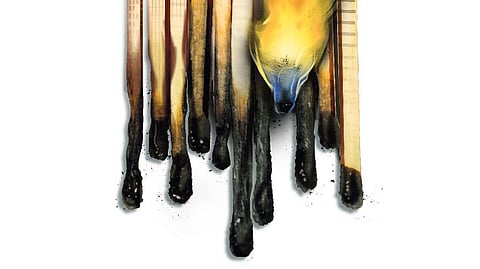 Image used for representational purpose.