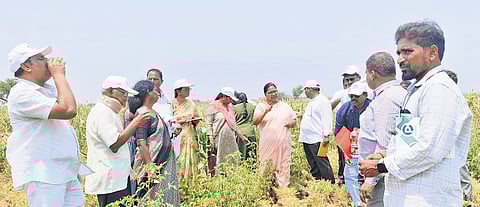 Agriculture and SERP officials participate in the field visits