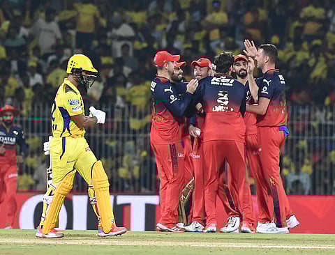 RCB players celebrate a wicket during their contest against CSK in Chennai on Friday