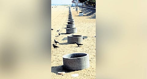 Rings for planting trees that were
laid along Marina