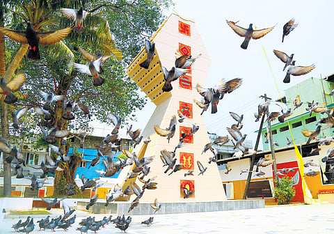 Birds flocking near the newly constructed birdhouse in the courtyard of a 120-year-old Jain temple in Mattancherry. The structure was built as an abode for birds that visit the feeding ground of the temple regularly