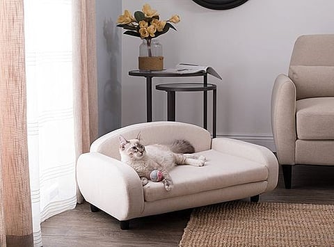 A home designed for your pets