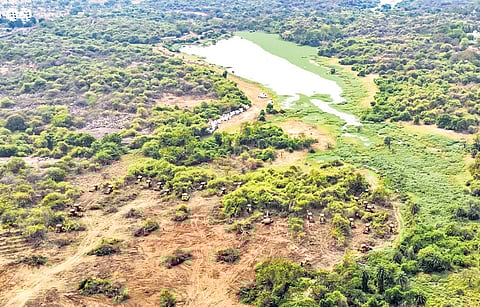 A photo taken on Monday shows earthmovers clearing the land at Kancha Gachabowli