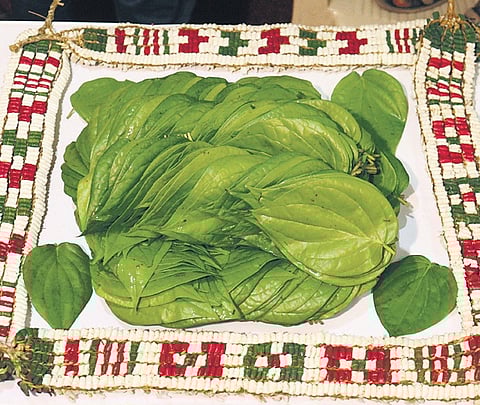 Thovalai maanikka maalai placed around the Kumbakonam betel leaves