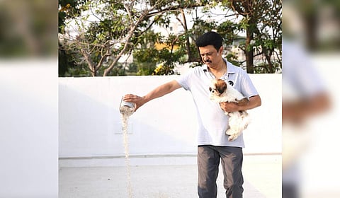 In a post on platform X, Stalin said, “Let’s provide water and food to birds suffering from the summer heat!”