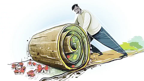 Forest land encroachment. (Representational image)