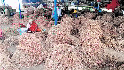 Small onions stored in a field at Chettikulam in Perambalur district