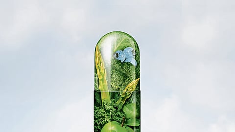 Photo for representation