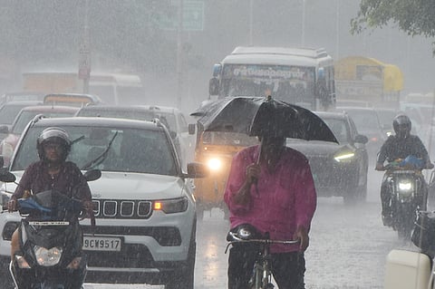 Avalanche in the Nilgiris and Adavinainarkoil Dam in Tenkasi recorded the highest rainfall of 4 cm each, and other locations like Valparai, Chinnakalar, and Thekkadi also registered 3-4 cm rainfall.