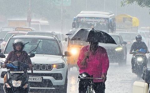 Chennai received slight rainfall on Saturday morning. Motorists and a cyclist braving the rain at Teynampet.
