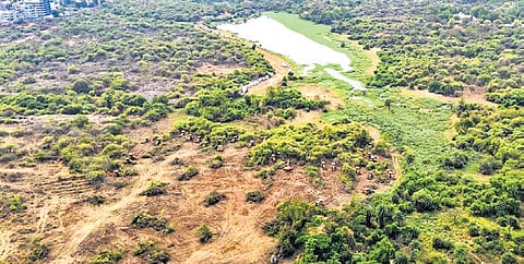 The report also detailed other valuations like realizable value at 80% would be Rs 16,640 crore and distress value at 70% would be Rs 14,560 crore.