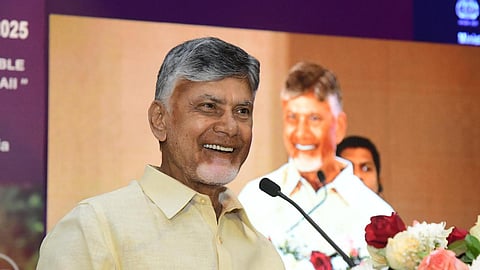 Andhra Pradesh CM Nara Chandrababu Naidu.