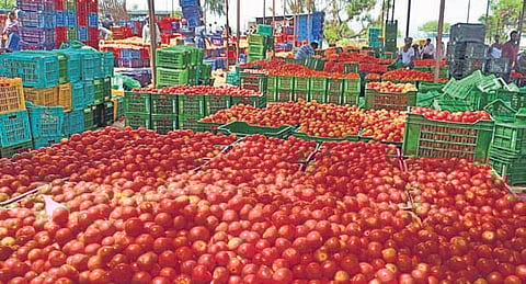 Farmers stated that millet and tomato exposure could improve production of Value Added Products (VAP) and encourage more farmers to crop native crops.