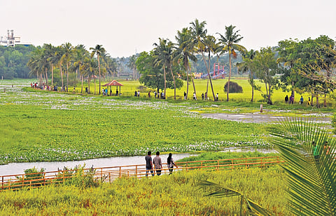 A scenic view of lush fields in Kadambrayar