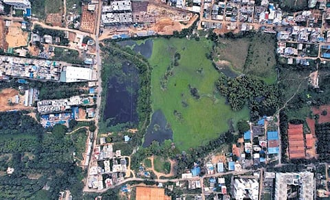 A bird's eye view of Choodasandra Lake before restoration.