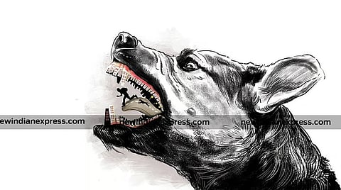 The boy, Isaac, was returning from Sunday school when the dog bit his neck, damaging the jugular vein and causing massive blood loss.