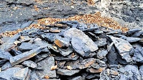About 46 tonne of coal was seized from coal dumps from inside Telendihi revenue forest.