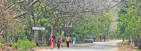 Experts, students, serving, and retired Bangalore University professors have opposed the skydeck project on the campus premises.