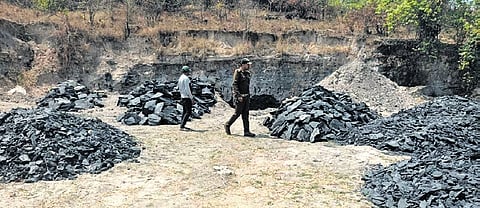 Illegally-mined coal dumped inside a forest