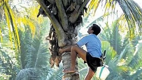 According to Banswada Sub-Collector K Kiranmai, the toddy supply point in question is located in Durki village of Narasullabad mandal under Banswada division.