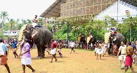 Tusker Choppies Kuttisankaran carrying the idol of Medankulanagara Sastha came first in the elephant race at Pidikkaparambu.