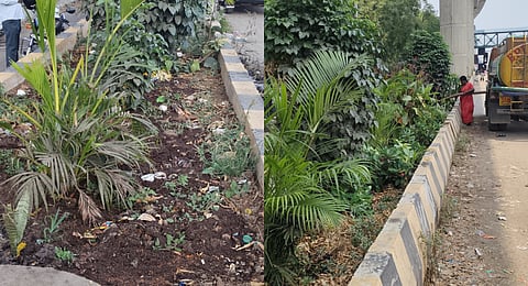 The project is being implemented over 1,000 medians along Phase 2 of the Metro corridor, using up to 30MT of waste per median. A trial stretch of 100 metres was installed at Manjunath Nagar metro station.