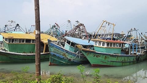 The Collector added that the regulation is issued in the interest of both the environment and the livelihood of future fishing generations.