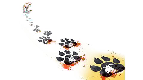 Tiruppur farmers seek compensation from centre for loss of livestock to stray attacks