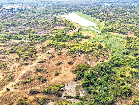 The officials told the CEC, headed by Siddhant Das, that the entire land proposed for the development belongs to the state government.