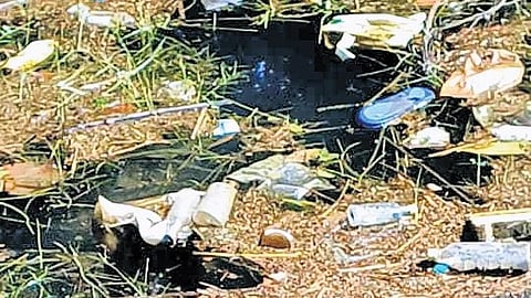The fishpond seen filled with the waste, washed into it from the collection centre.