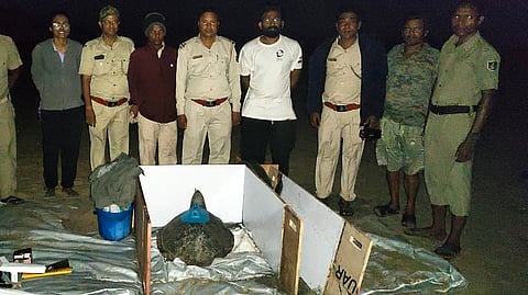 Scientists of WII with a transmitter-fitted turtle at Gahirmatha on March 12.