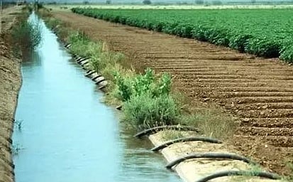 Under the PAP scheme, 4.25 lakh acres of agricultural land in Coimbatore and Tiruppur districts are getting irrigation.