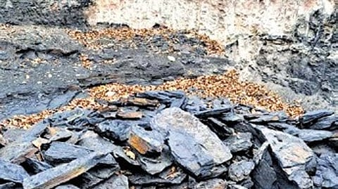 Image used for representational purposes only.