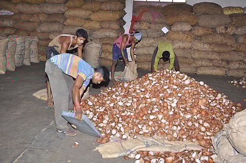 Workers packing copra in the Erode market. (representative picture for Srinivasans story)