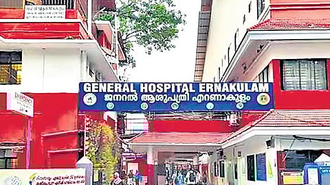 Tree branch fall injures three near Fort Kochi gym, raising safety concerns over aging trees.