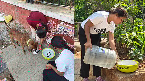 A stray dog drinks water from a bowl that was placed by ‘Water it Up’.