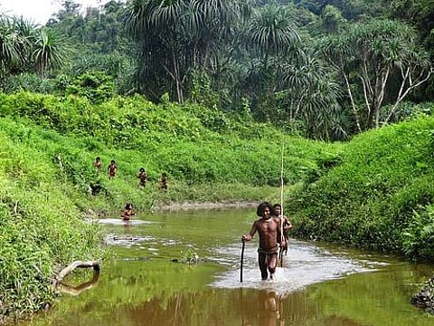 The uncontacted Shompen tribe